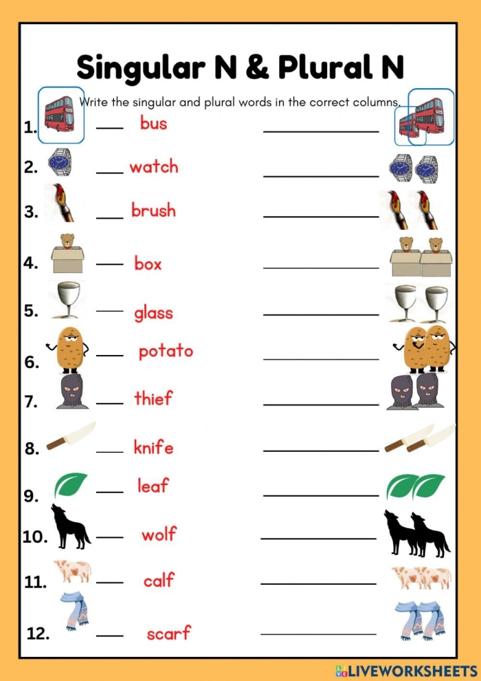 Worksheet illustrating singular and plural nouns for third graders