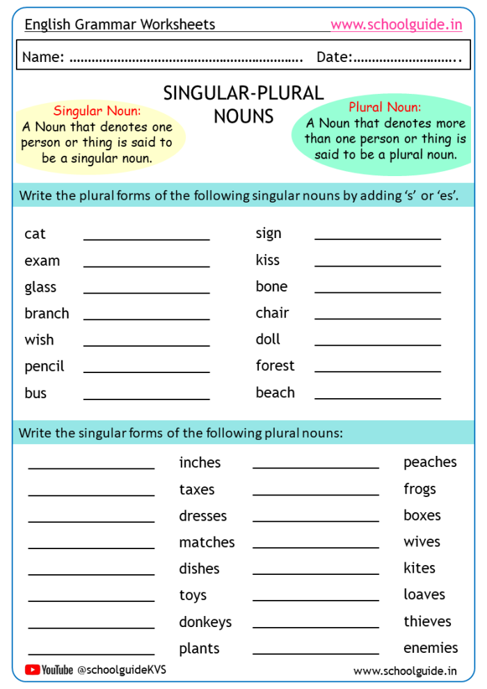Worksheet illustrating singular and plural nouns for third graders