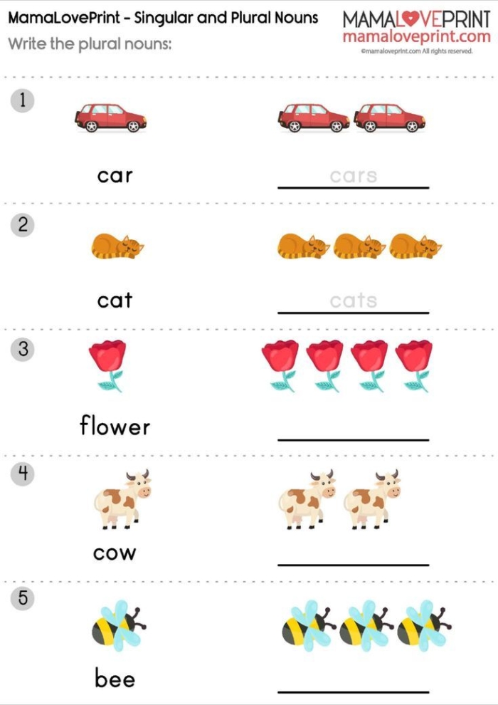 Worksheet featuring singular and plural nouns for third graders to enhance grammar skills