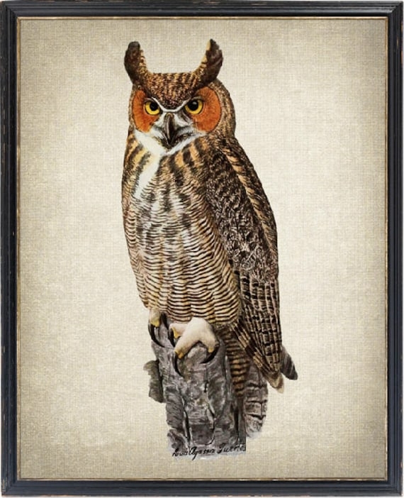 Great Horned Owl perched in a tree, showcasing its impressive size and distinctive tufts