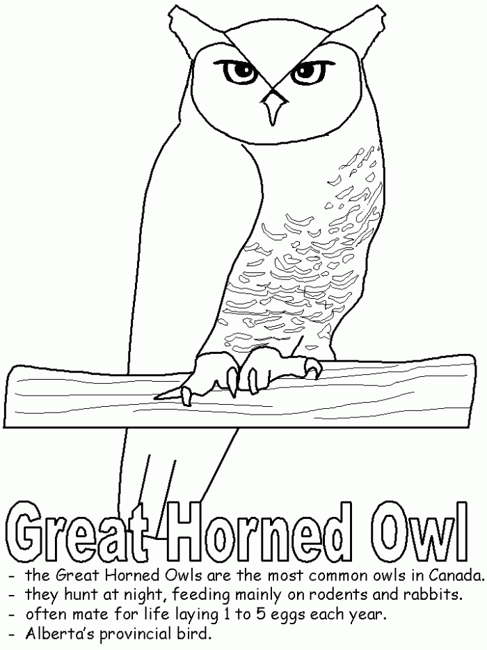 Great Horned Owl worksheet for third-grade life science students exploring this powerful bird. Educational resource featuring the "tiger owl" of Yellowstone National Park.