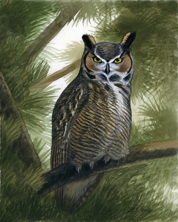 A colorful third grade life science worksheet featuring a detailed illustration of a Great Horned Owl perched on a pine branch.