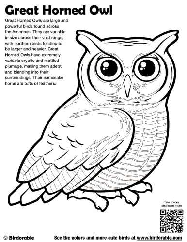 Great Horned Owl life science worksheet featuring a detailed illustration of the tiger owl for third graders