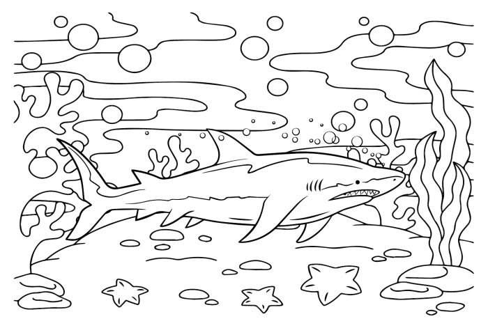 Coloring page of a great white shark for children to color and learn about marine life