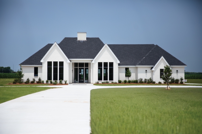 Sixth grade informational reading worksheet featuring a historical overview of the Harlem Renaissance movement