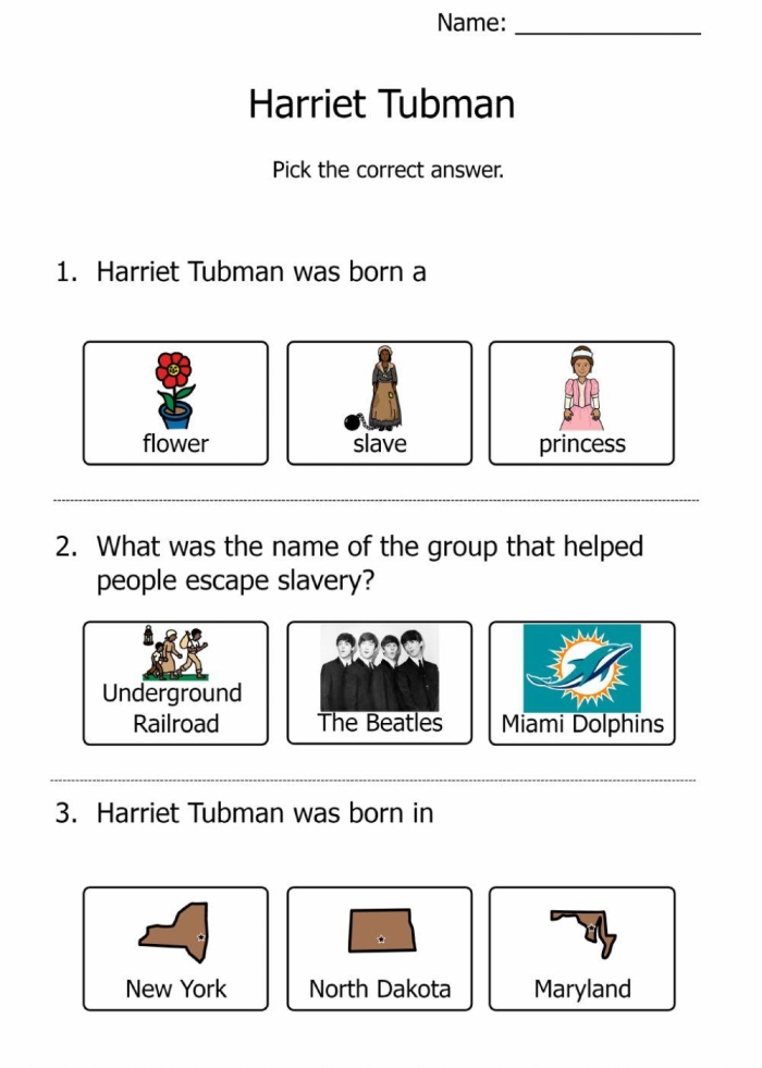 Third grade students learning about Harriet Tubman's heroic journey to freedom while practicing place value skills in this historical worksheet activity