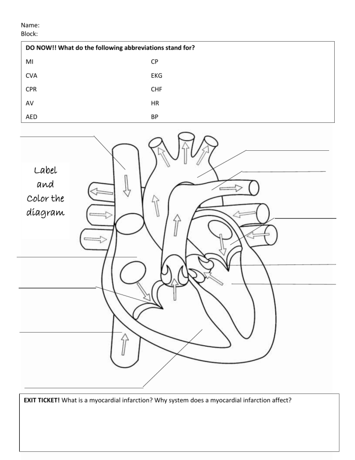 Heart Structure and Function Educational Resource for Elementary Math and Science Learning Fifth grade students learning about heart anatomy and fractions with labeled diagram worksheet 18