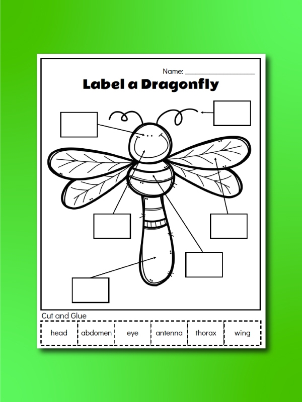 Hidden Bug worksheet featuring a fun color-by-numbers activity for first graders