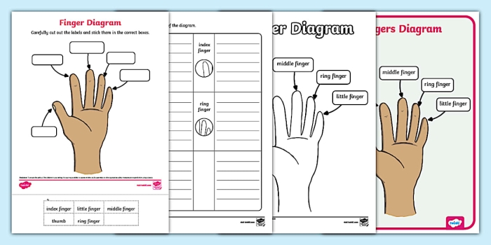 Keyboard Home Row Finger Placement Worksheet for Kindergarten Students 13 Kindergarten worksheet showing finger placement diagrams for the home keys A S D F J K L and semicolon