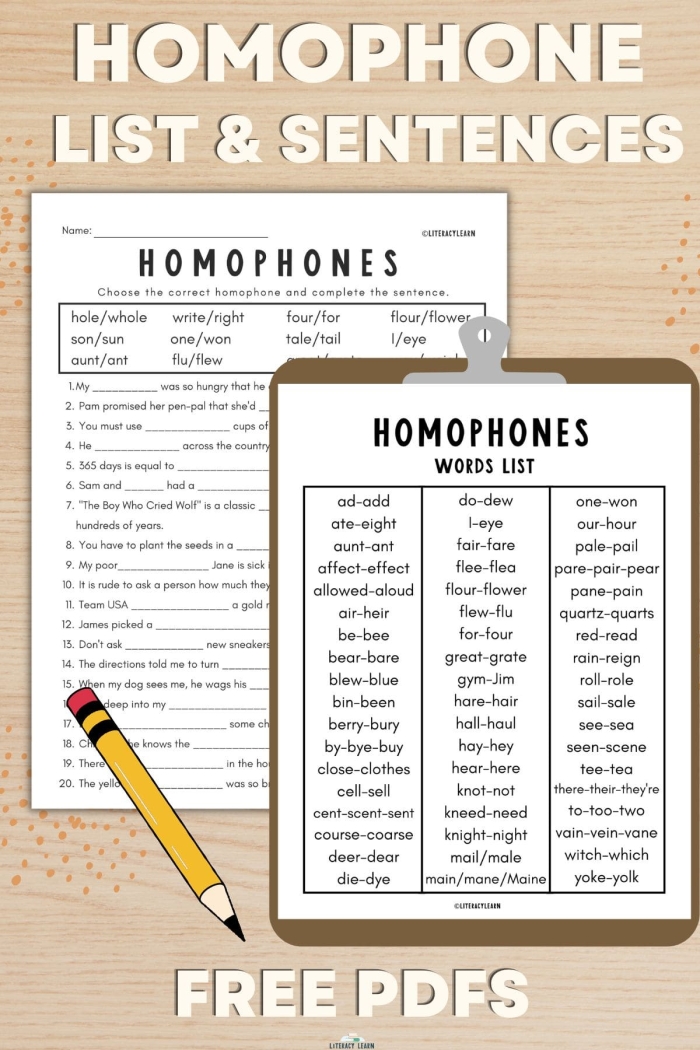 Homophone Check-in worksheet for reading comprehension practice Worksheet featuring a Homophone Check-in exercise for second graders