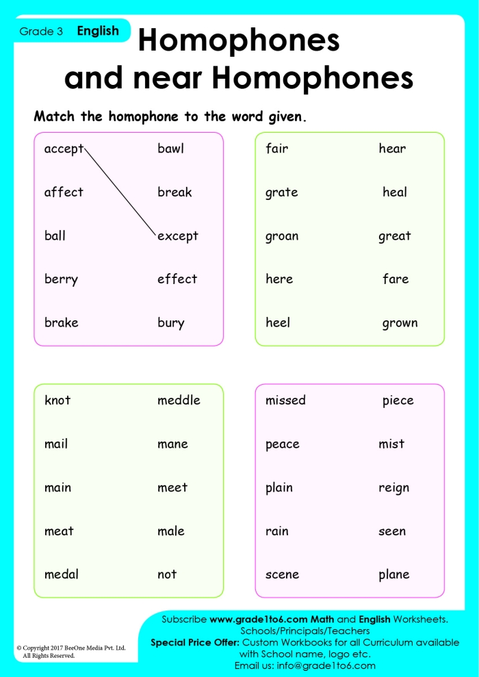 Fifth grade students completing a homophone hero worksheet with fill-in-the-blank exercises for practicing word pairs with identical pronunciations