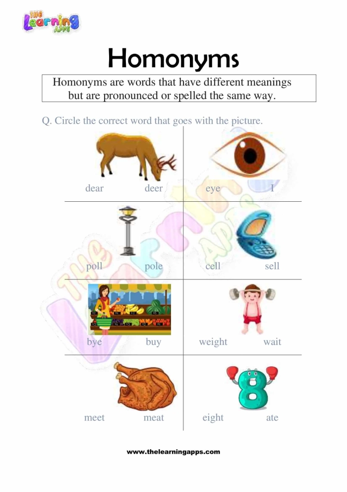 Second grade worksheet for practicing homophones with fill in the blank sentences