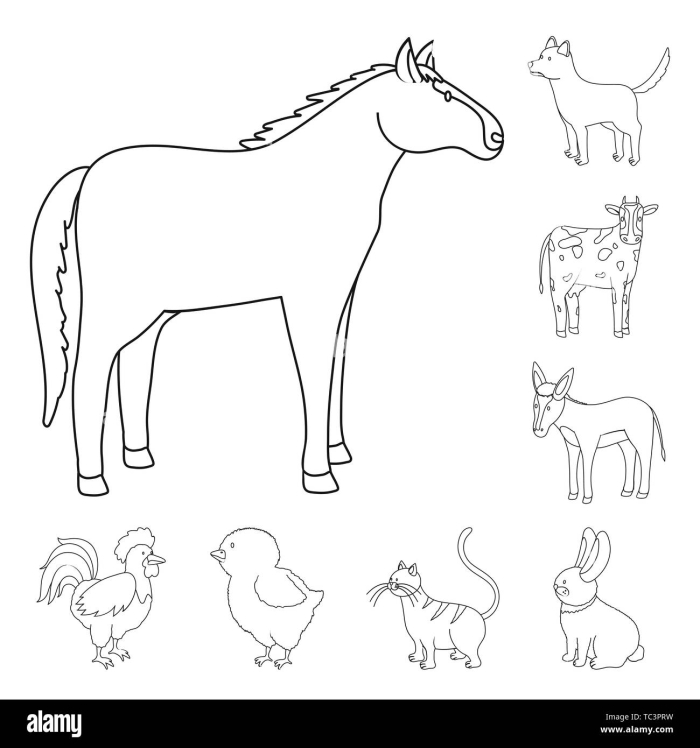 Mule worksheet for second graders featuring multiplication facts and a crossword puzzle