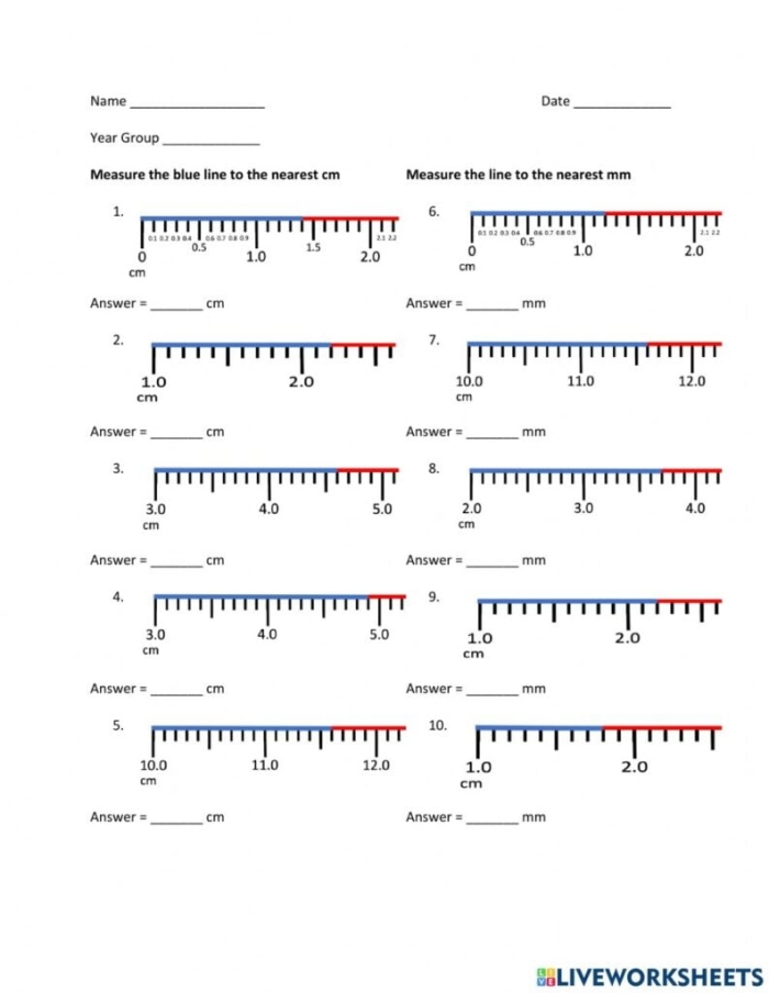 Colorful rulers measuring cartoon characters for a second-grade worksheet