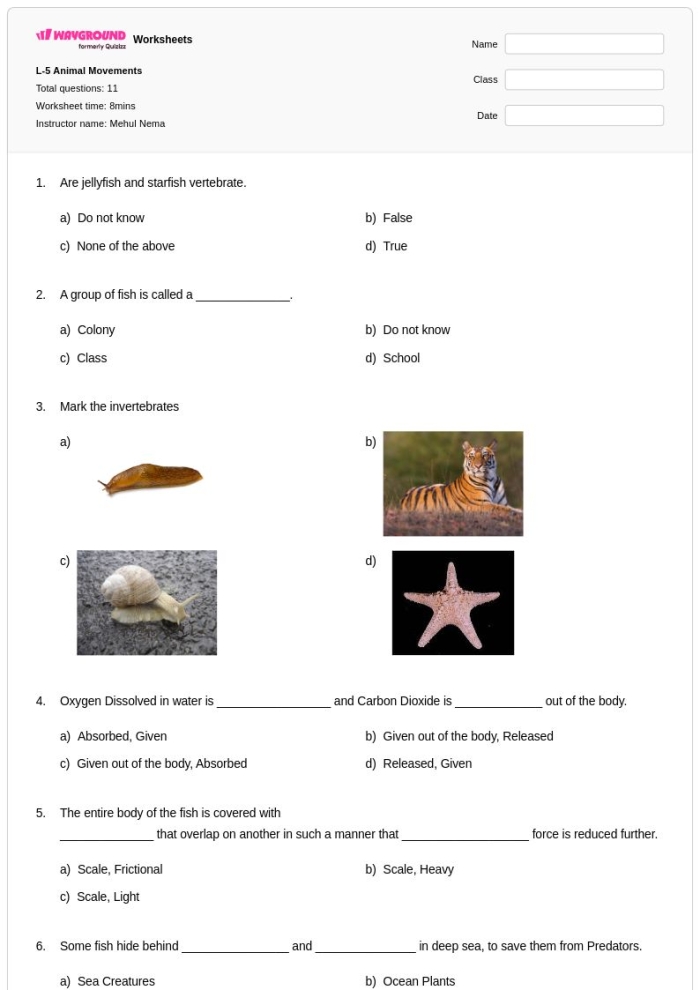 Second grade student using a paper ruler to measure colorful ocean animal illustrations