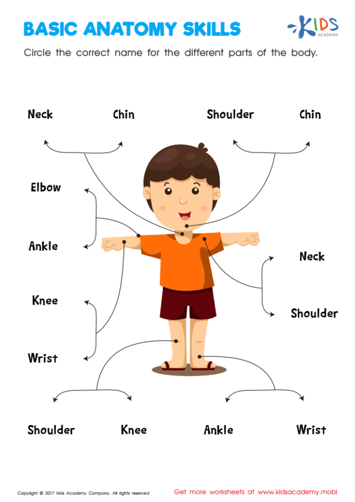 Human Anatomy Organ Diagram Addition Worksheet 8 Fifth grade addition worksheet featuring a diagram of major human body organs