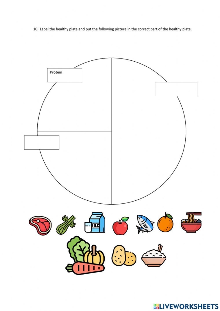 Fourth Grade Human Digestion System Diagram for Learning Biology Concepts Diagram showing the human digestive system with labeled organs and the path food takes through the body for fourth grade students