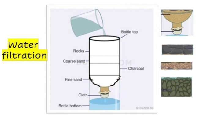 Fifth grade student matching organ functions to the human filtration system on a printable worksheet