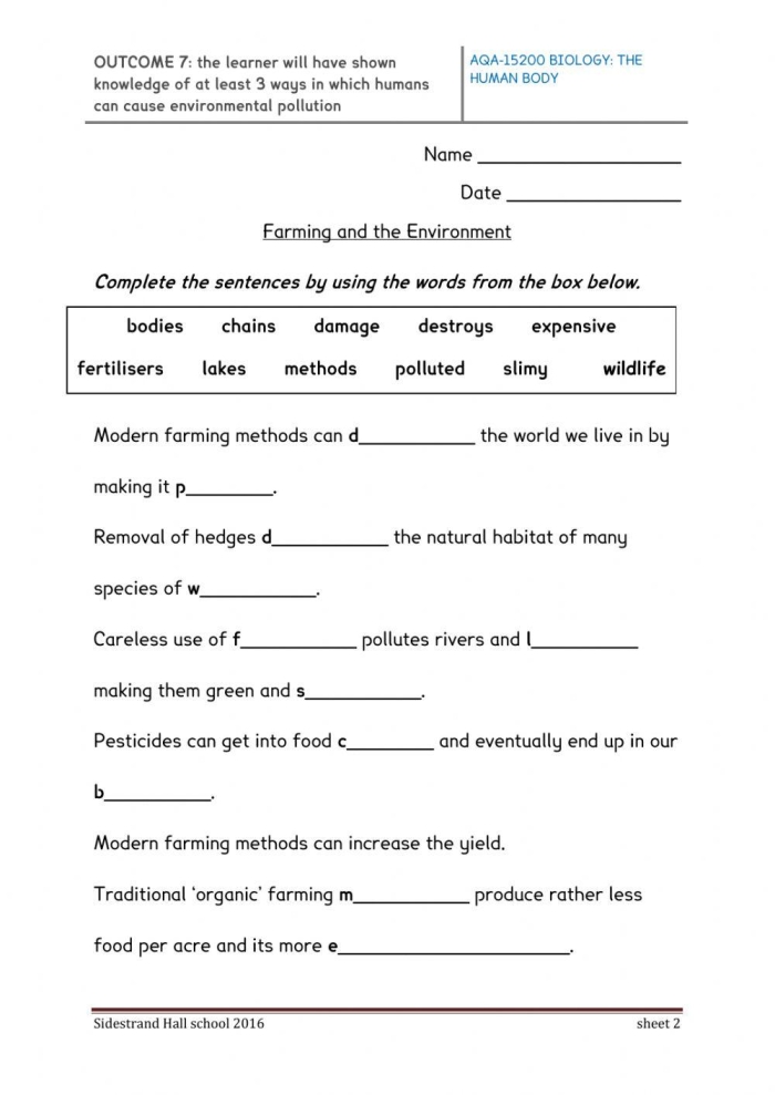 Deforestation worksheet for understanding human impact on the environment Graphic organizer illustrating the causes and consequences of deforestation for sixth-grade students