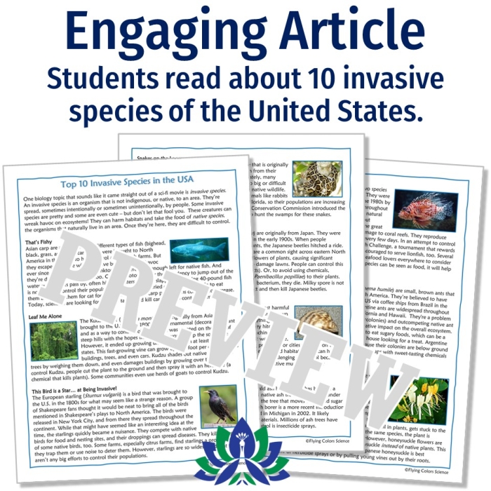Graphic organizer highlighting the effects of invasive species on ecosystems for sixth graders