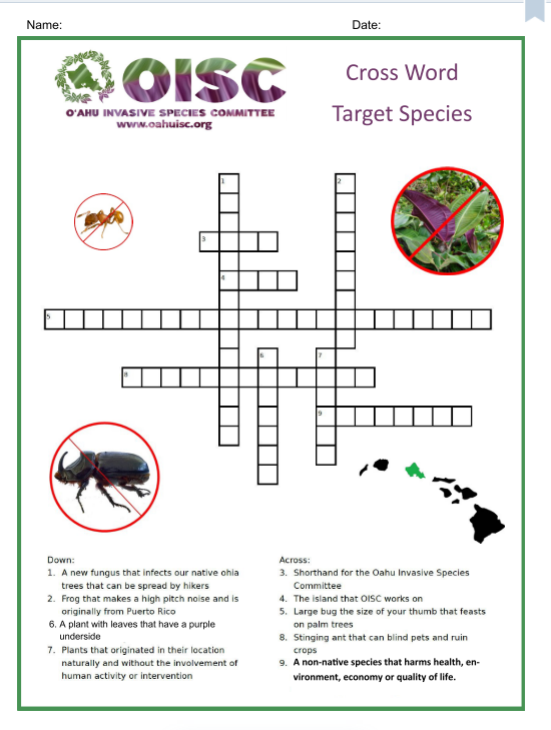 Graphic organizer illustrating the effects of invasive species on ecosystems