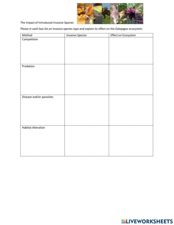 Invasive Species Worksheet for Sixth Graders: Human Impact Graphic Organizer