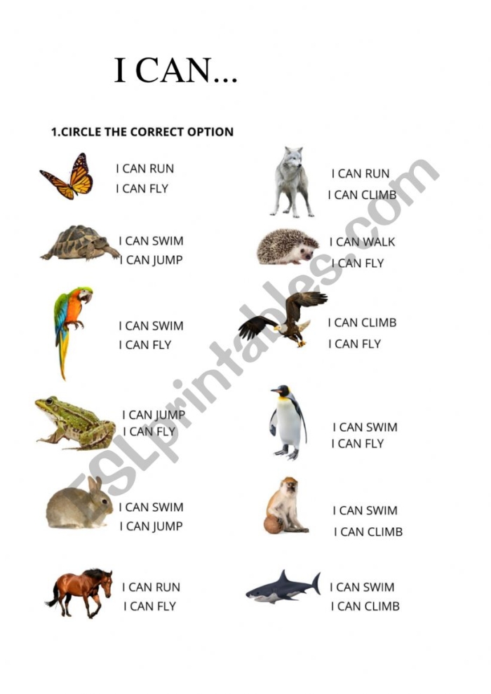 Kindergarten worksheet featuring reading and writing practice for the sight word can