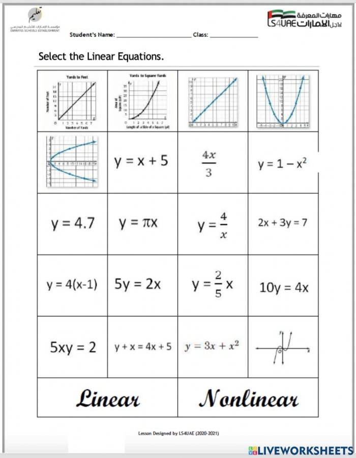 Graph showing curved and straight line examples for identifying linear versus nonlinear functions in eighth grade algebra