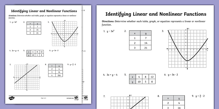 Eighth grade algebra worksheet showing sample graphs demonstrating linear and nonlinear function examples for students to practice identification