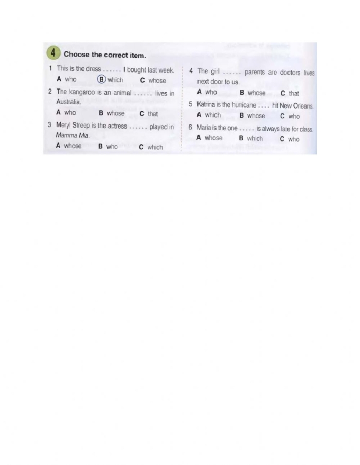 Relative Pronouns Practice Worksheet for Grade 4 Worksheet for identifying relative pronouns in sentences for fourth graders