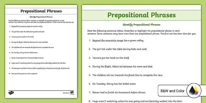 Prepositional Phrases Practice Activity for Middle School Grammar Lesson 11 Seventh grade student completing a grammar worksheet on identifying prepositional phrases in sentences