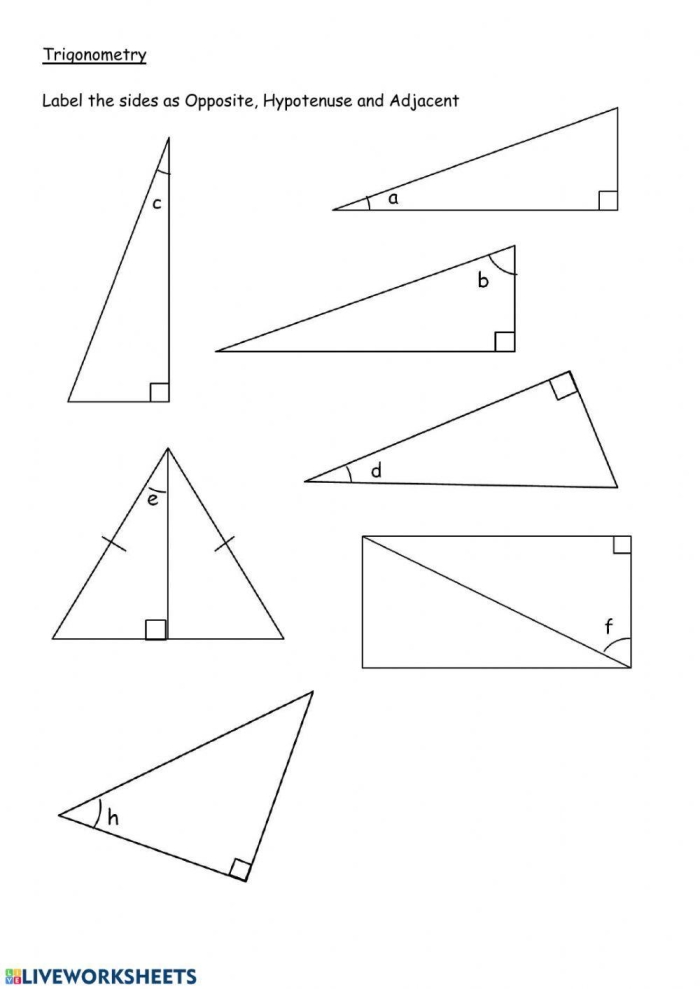 Fourth grade geometry worksheet showing colorful right triangles with identifying practice problems for students