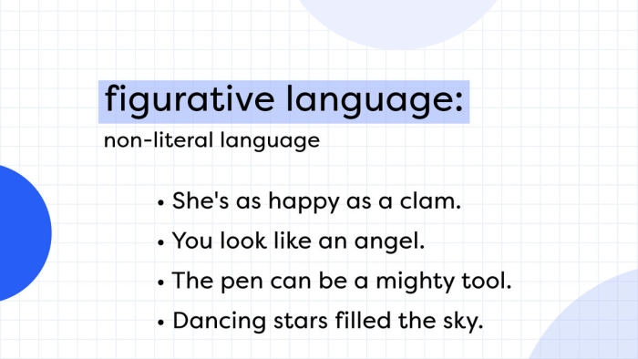 Worksheet featuring idioms for understanding literal and nonliteral language for third graders