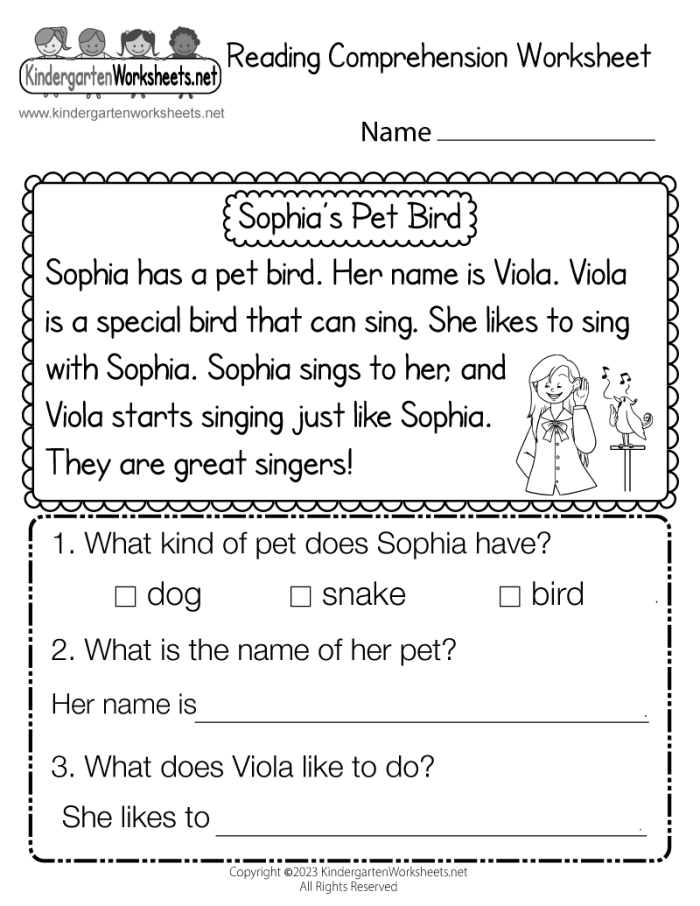 Reading Comprehension Practice Test worksheet for second graders to enhance understanding skills