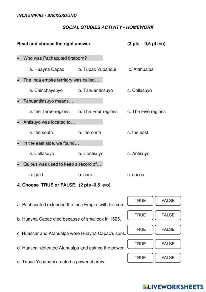 Inca Empire roads worksheet for sixth graders exploring South American history