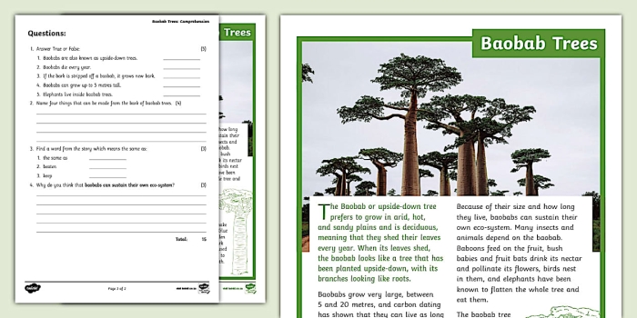 ALT text for a worksheet about the Baobab tree, showcasing its significance as Africa's "tree of life