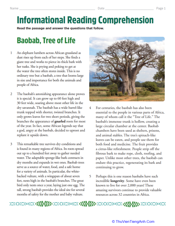 ALT text for a reading comprehension worksheet about the Baobab tree, known as Africa's "tree of life.
