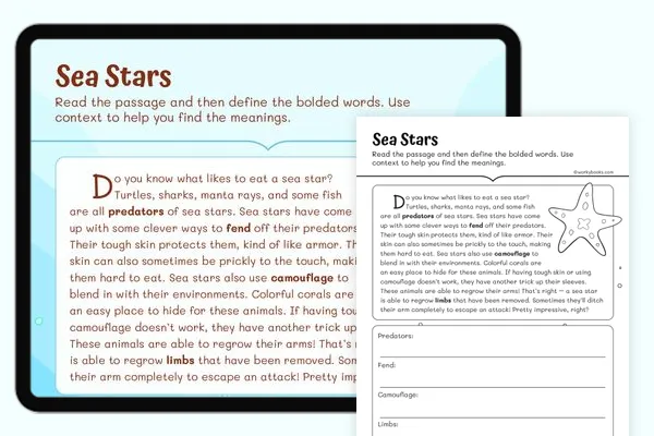 A colorful three-page reading comprehension worksheet titled Where Are the Stars about light pollution for seventh graders.