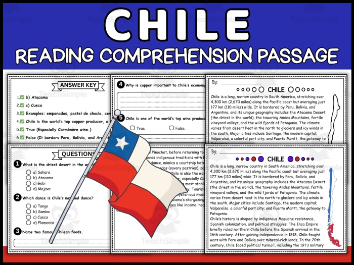 Sixth grade student reading a geography worksheet about the diverse landscapes of Chile