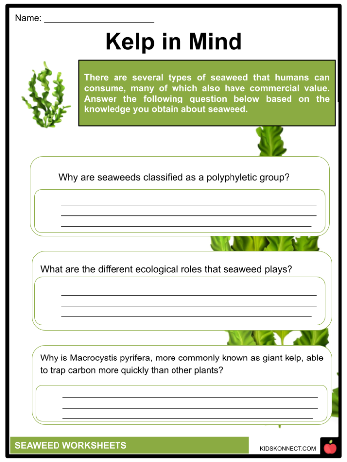 Worksheet image featuring comprehension questions and text about sustaining the world with seaweed Informational reading comprehension worksheet focused on seaweed for seventh graders