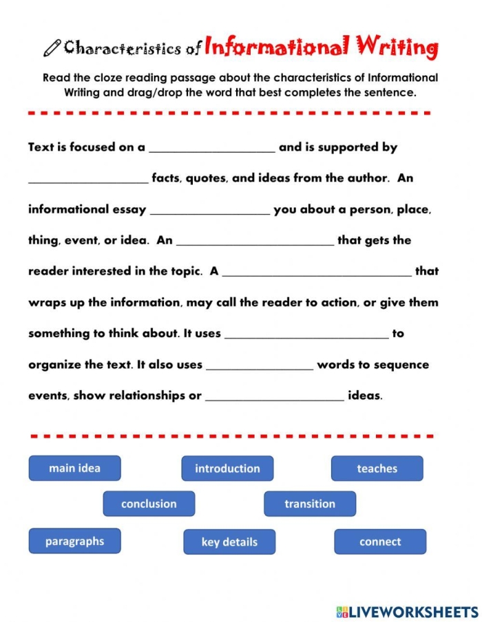 Informational Writing Check-Up worksheet for third grade students featuring a phonics and composition exercise