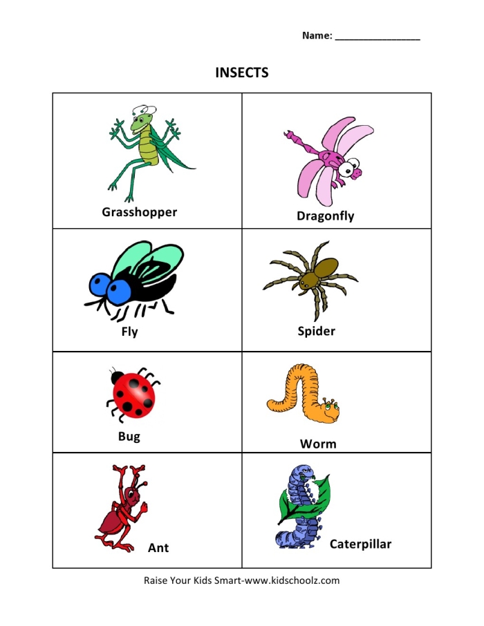 Interactive learning tool for identifying insect body parts in phonics activities Insect anatomy worksheet for second graders featuring labeled body parts of a bug