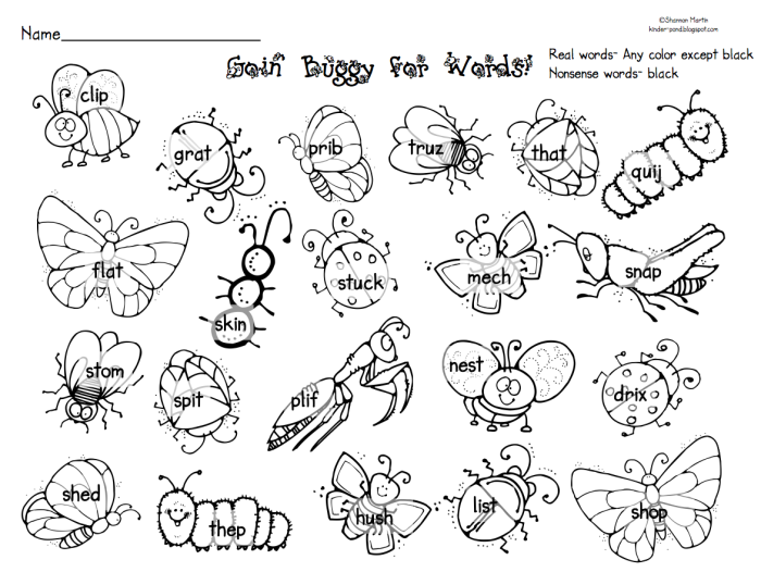 Insect Body Parts Worksheet for Second Grade Lesson 9 Second grade student worksheet featuring a diagram of insect body parts for phonics practice