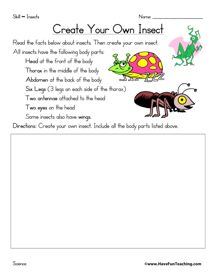 Explore the anatomy of insects with this engaging worksheet aimed at phonics learners Insect Body Parts worksheet for second graders featuring labeled anatomy of various insects