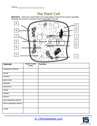 Sixth grade science student completing a Label the Plant Cell Level 2 worksheet