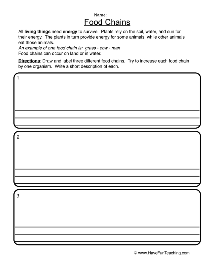 Colorful worksheet on food chains for fourth graders
