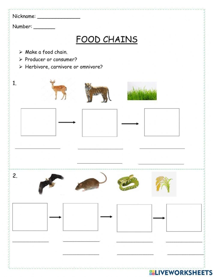 Colorful worksheet illustrating food chains for fourth-grade students