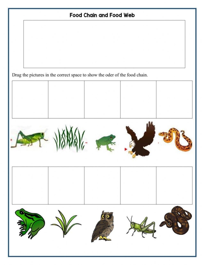 ALT text for a worksheet on food chains designed for fourth graders