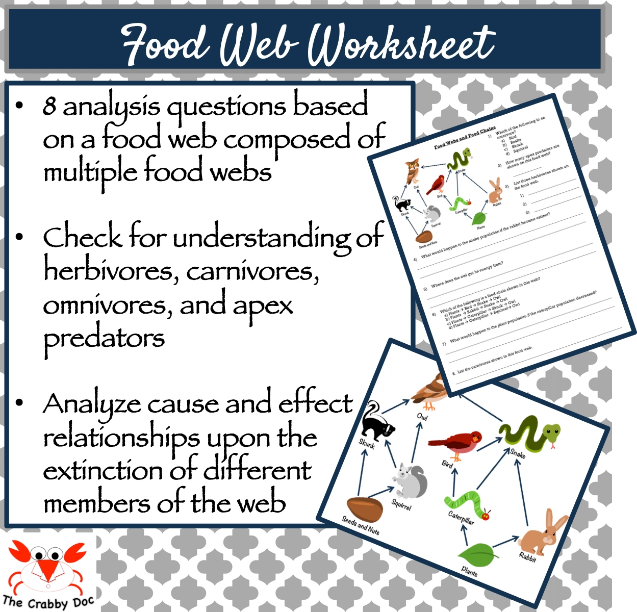 Introduction to Food Webs Worksheet for Grade 4 Students Colorful worksheets designed for fourth graders to explore food webs in life science