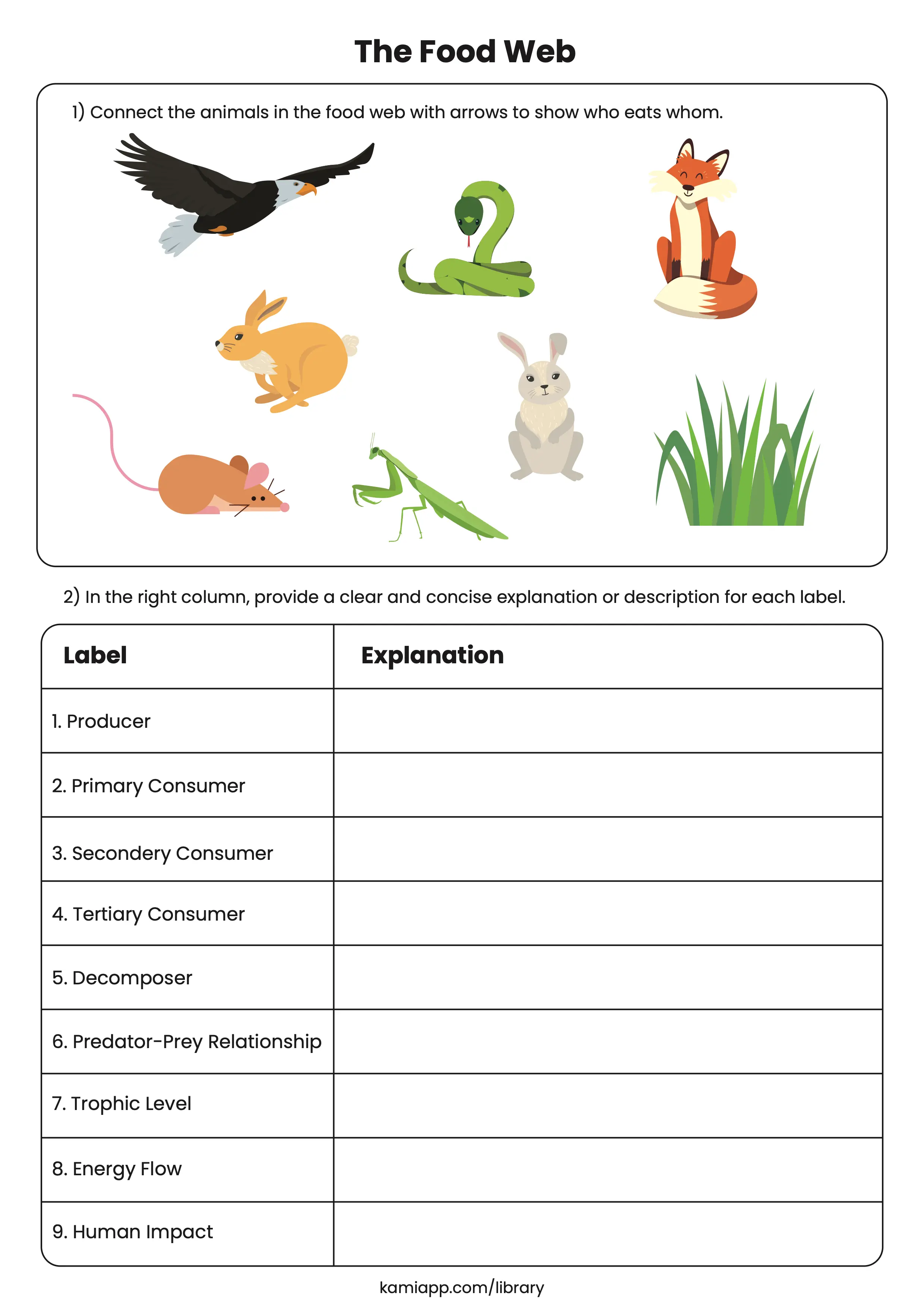 Introduction to Food Webs Worksheet for Grade 4 Colorful worksheets designed for fourth graders to learn about food webs